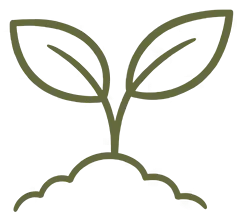 A hand-drawn illustration of a sprout with two leaves growing from the soil